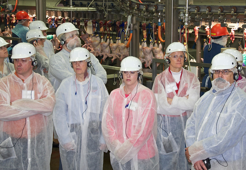 Attendees tour first processing at Amick Farms